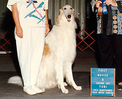 Top Obedience Borzoi 1994